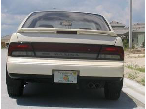 Rear view